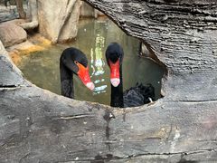 -长鹿旅游休博园