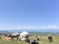 -新疆那拉提国家旅游度假区