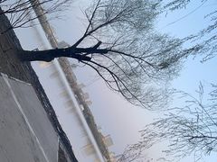 -长春市南湖公园