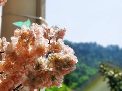 -重庆南山海昌汤都