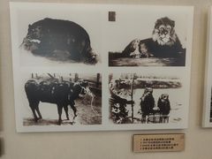 -北京动物园-畅观楼