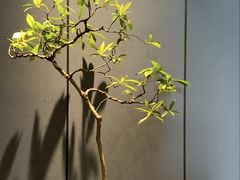-慈云斋·24节气素食