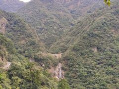 -东天目山风景区