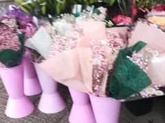 -宝鸡东道花鸟鱼虫市场(吉利花园商场店)