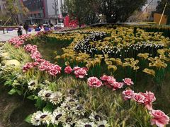 -西安创业咖啡街区