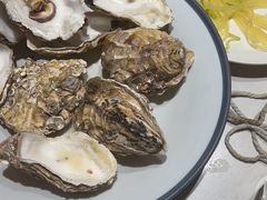 -杨氏青龙虾·羊蝎子(托乐嘉店)