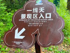 -汤旺河林海奇石景区