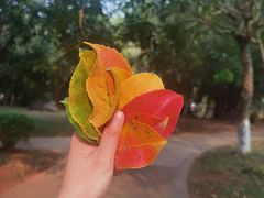 -白沙门生态公园