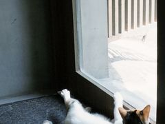 -Again Coffee Roaster(香蜜湖店)