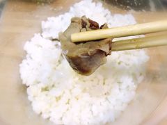 手撕椒麻鸡-光头卤(湖北大学店)