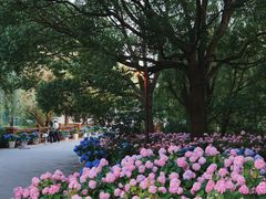 -上海滨江森林公园