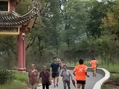 -永安龟山公园