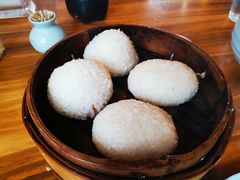 茨毛圆子-双塔老饭店