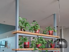 -比格比萨自助(国展店)