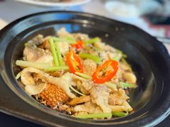 -谭厨中山传家菜.乳鸽.脆鲩鱼(华强北中航城店)