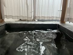 -余姚阳明温泉山庄