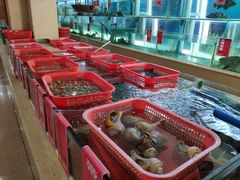 -南庄酒家·海鲜粤菜·25年老字号(环城南路店)