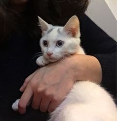 -尚美日式美甲美睫工作室