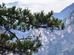 -黄山风景区
