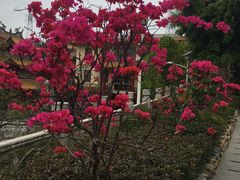 -仙岳公园