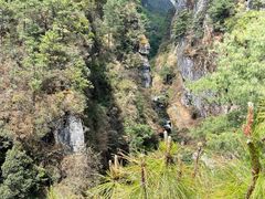 -苍山感通索道
