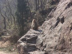-环翠峪风景区
