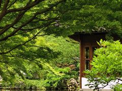 -郭庄景区