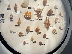 -海合安青岛极地海洋公园