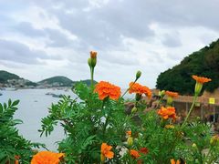 景点-乌石塘景区
