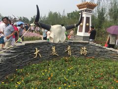 -武清南湖绿博园