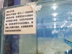 景点-鸽子窝公园