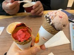 -哈根达斯(石家庄北国店)