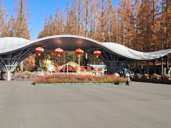 -东平国家森林公园