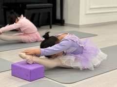 -星光舞蹈艺术中心•芭蕾舞•中国舞(太阳宫校区)