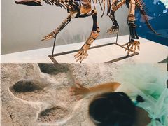 -湖南省地质博物馆