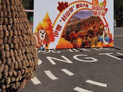 -五营红松林海景区