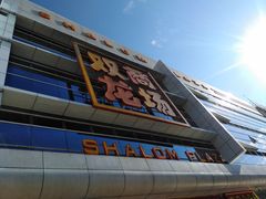 -双龙商场(环城南路店)