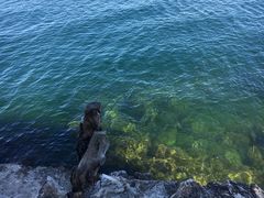 -抚仙湖禄充风景区