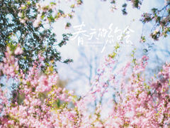 -莫愁湖公园