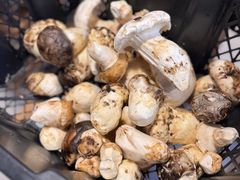 -草墩罗非鱼庄•野生菌•腊排骨(七星街上段店)