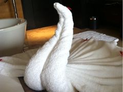 iphone_upload_pic-天目湖涵田度假村