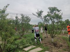 -洪湖家庭农场·团建·露营·会议