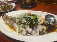 野生花椒桂花鱼-珍宝楼