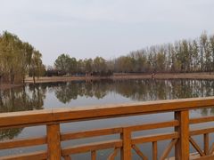 -东郊湿地公园