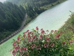 -武陵山森林公园