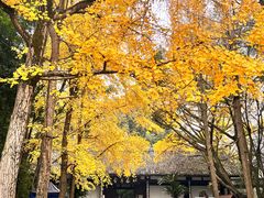 -成都杜甫草堂博物馆