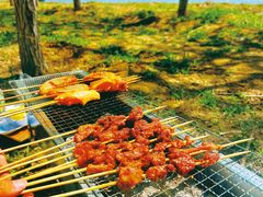 -西青郊野公园