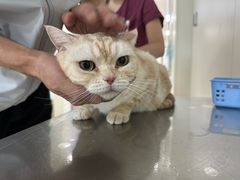 -美联众合动物医院·24h京西诊疗中心
