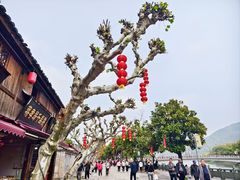 -蒋氏故居