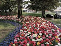 -石家庄市植物园